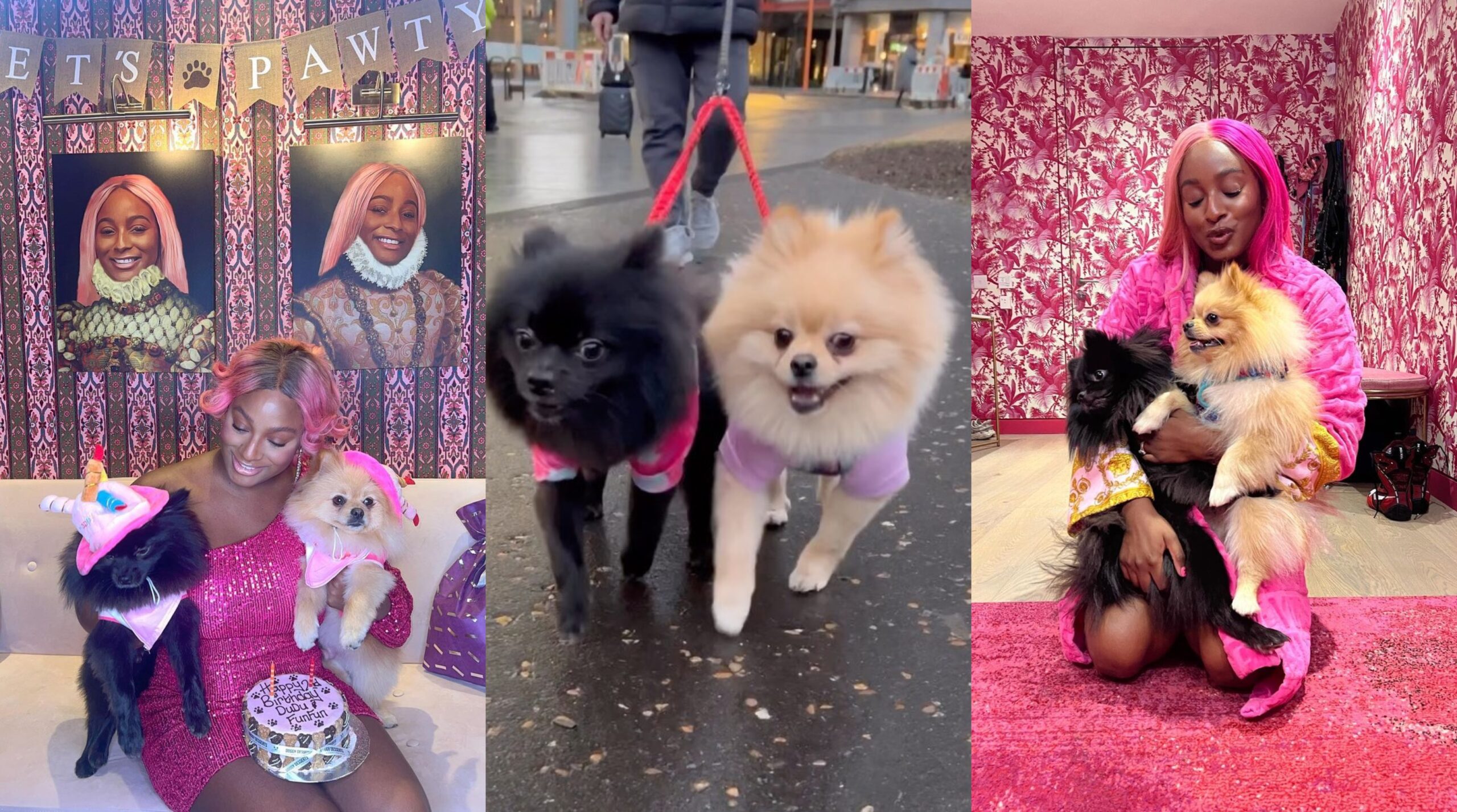 I'm so happy to be your mother- Cuppy celebrates her Puppies as they turn 2yrs old today (Photos)