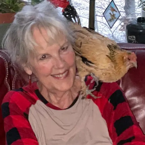 Meet Peanut, The oldest chicken to live in the world for 20yrs (Photos)