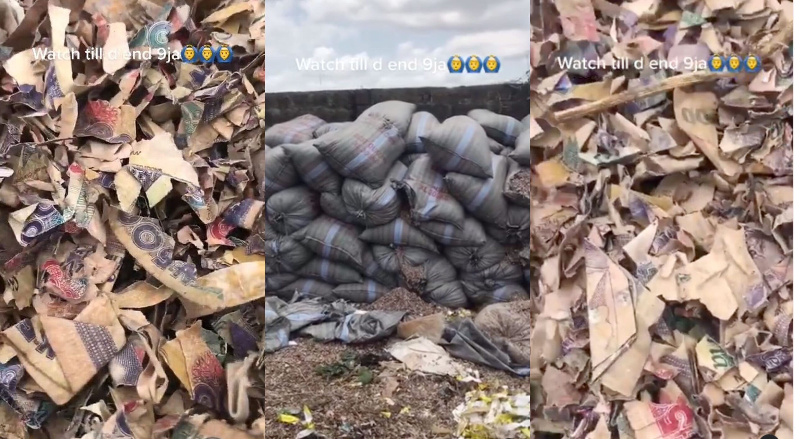 And they are suffering us in Nigeria- Angry Nigerians laments after finding Naira at Dumpsite (Video)