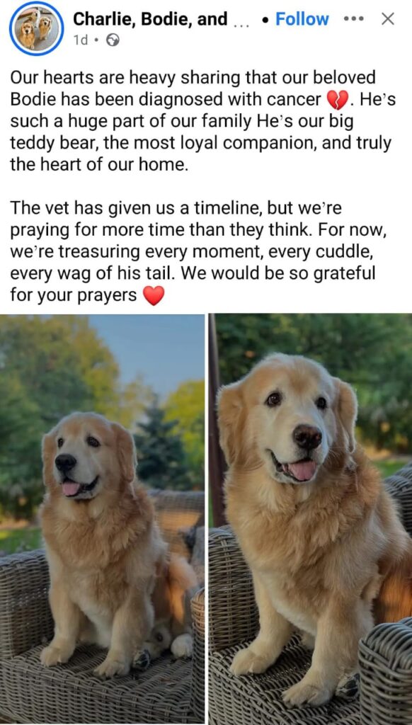 27738720 eaa8 4afb bd57 0eaddecda00c