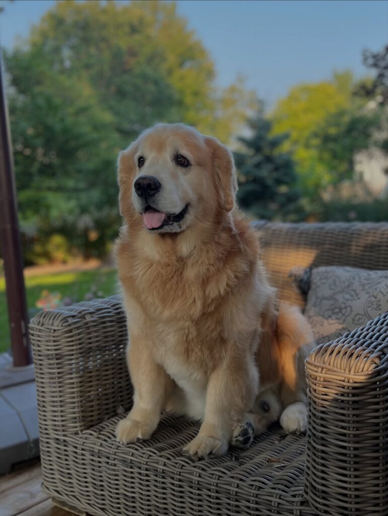 543405102 18423716077102116 4028087938905060942 n