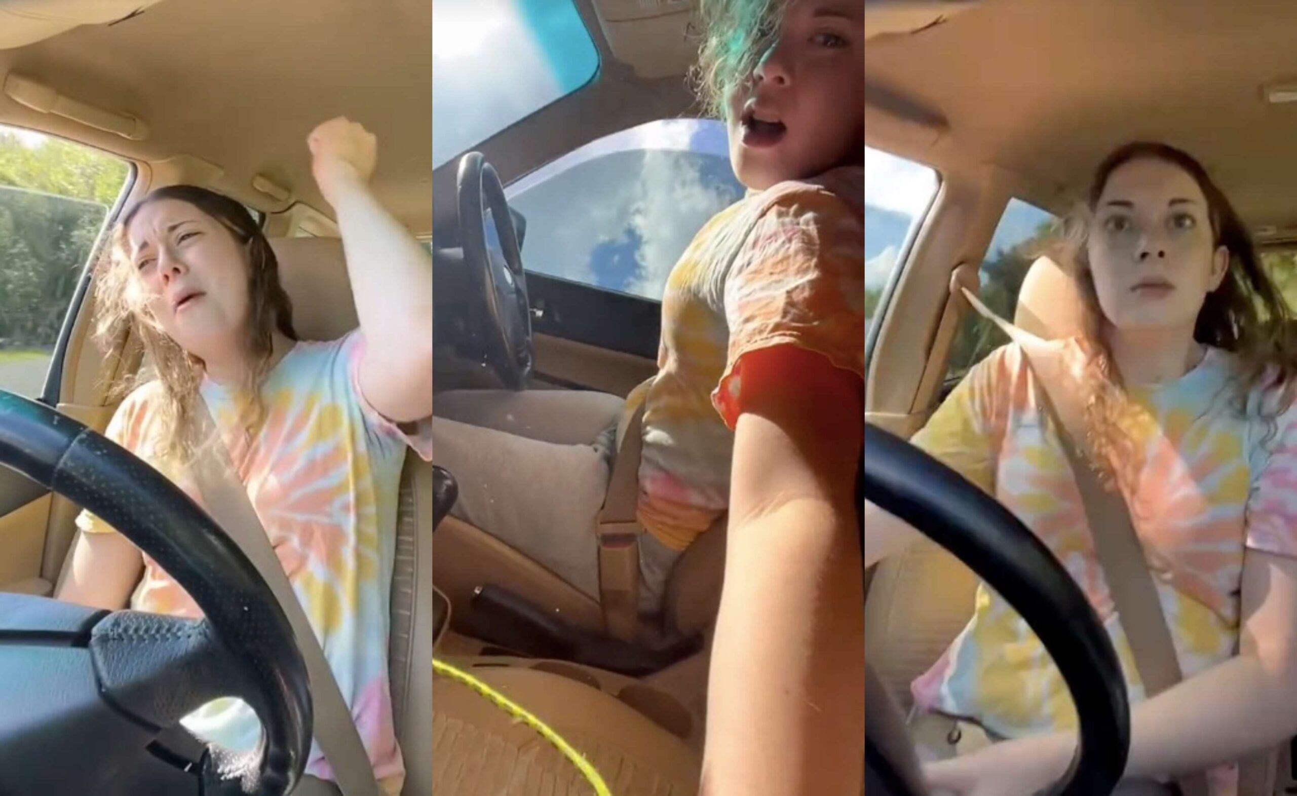 Viral Video: Woman Crashes Into Tree While Singing “Hit Me Baby One More Time”