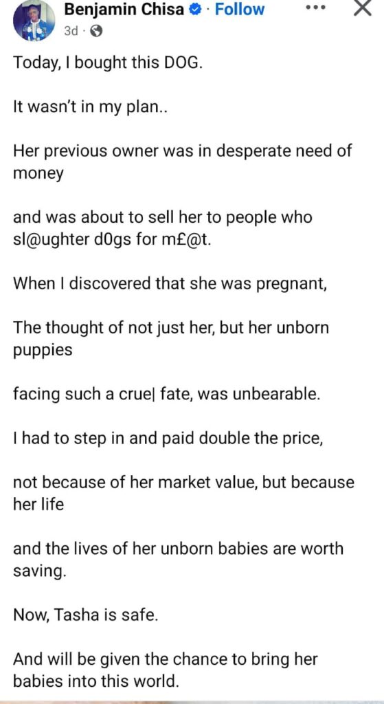 54b91241 93d4 43db 8e10 74b09ff899ad