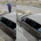 Man Arrested After Shooting Puppy That Playfully Approached His Dog