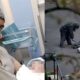 Islamic Man Who Attacked Synagogue Church, Killing 2 and Injuring 4, Identified and Shot Dead