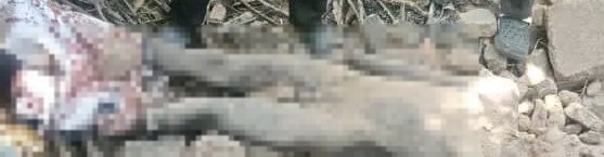 d78fecdc 0f54 46ce b033 98d07dfc855b