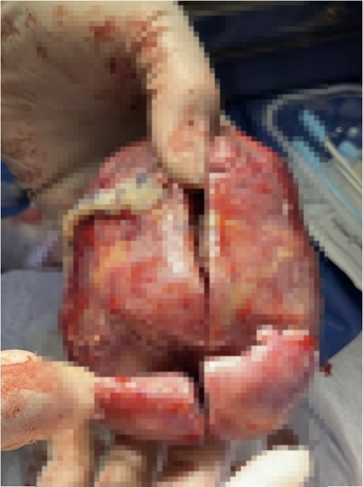 dd788553 6fae 40aa 8f83 b555d0840531