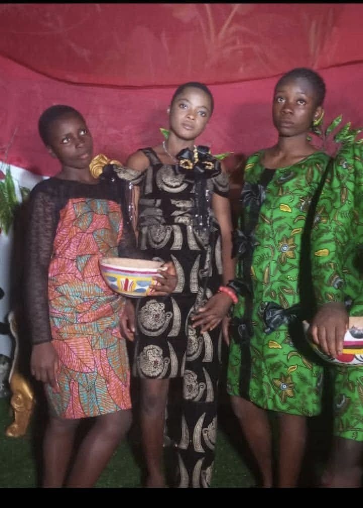 5386e3e8 5071 43bf b619 097179103d7b