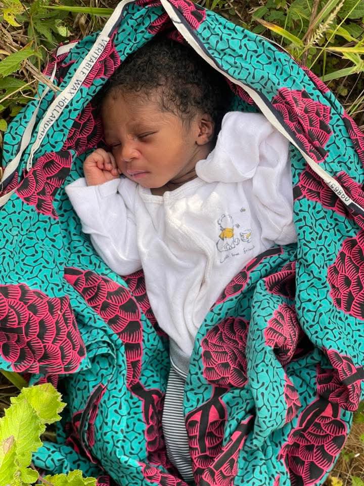 d70aecf3 e0d3 4530 8ba4 48ab98b09ccb