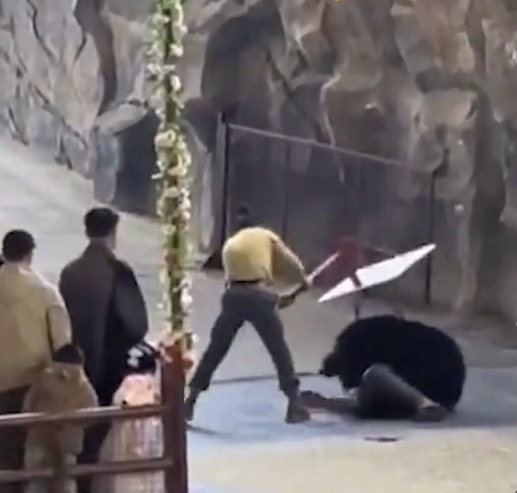 777aaad7 5083 48bc a17f 915895494933