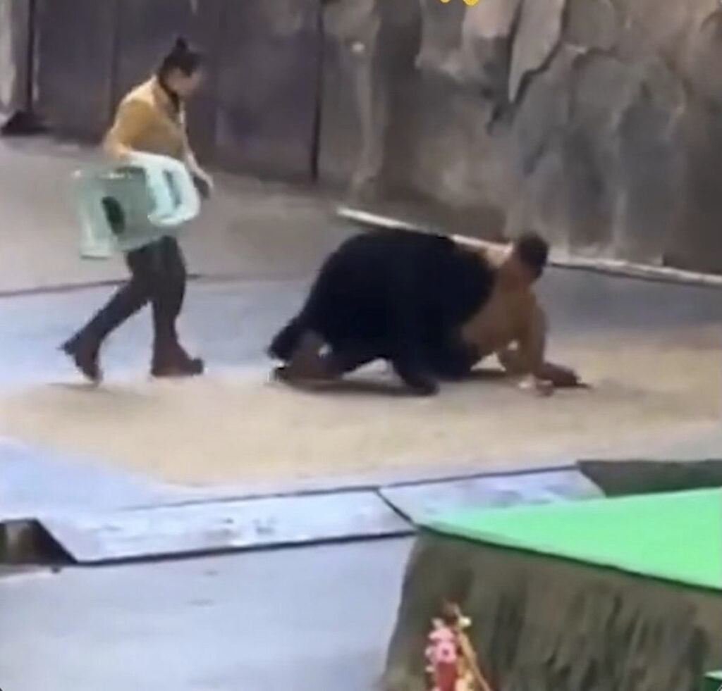 8e2f9f6c 9f25 4603 9e24 78ba93827ba7