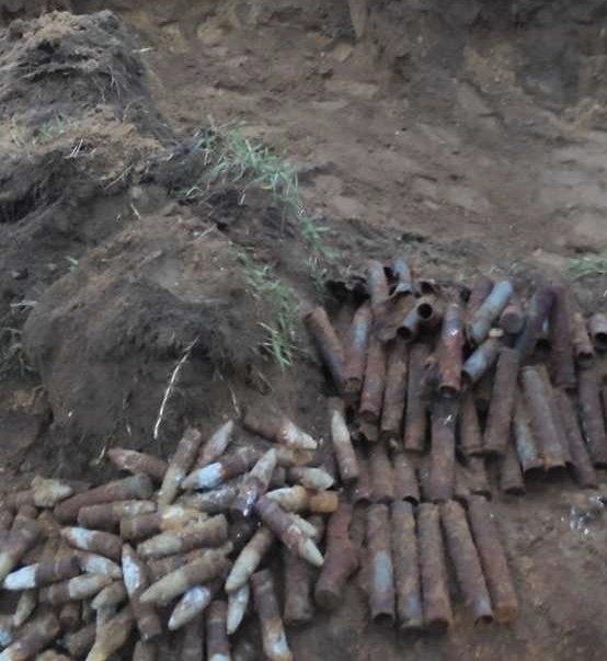 c04c1647 3181 4b2b bc89 9149b6dac184