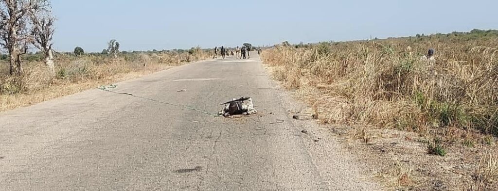 d0569d28 f733 4c4d b1ee b8b2047ebf39