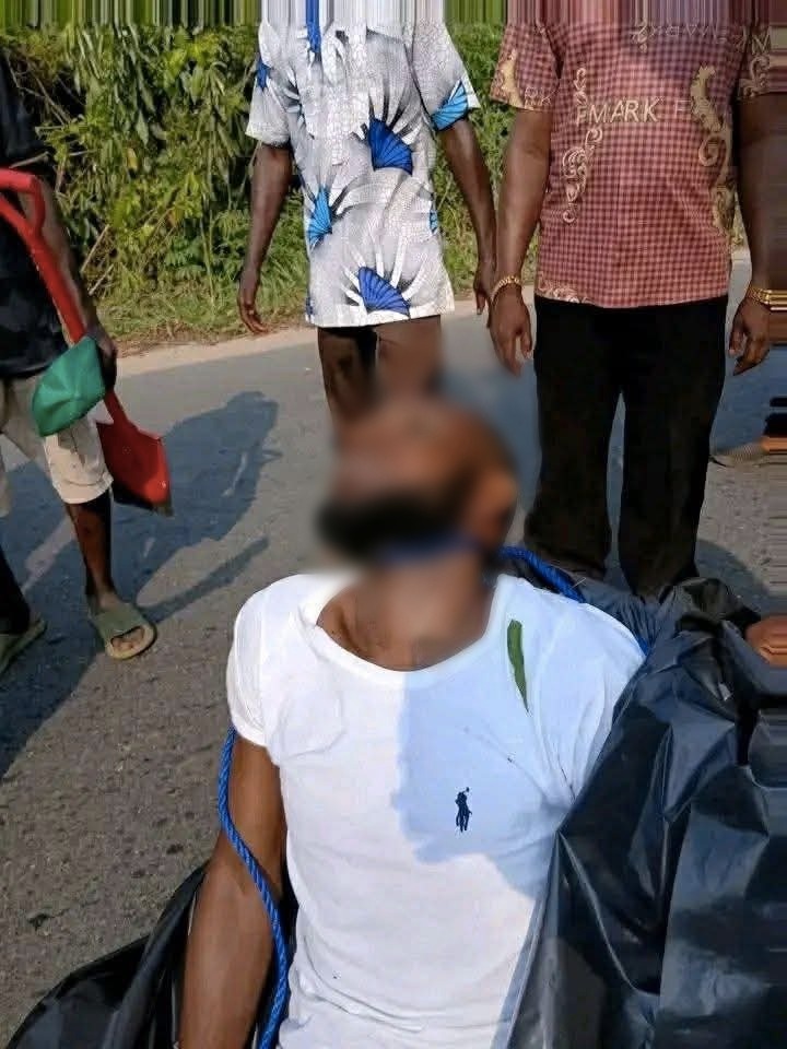 1be39d4b 03e7 4fdc 81bc 6cfddb515b16