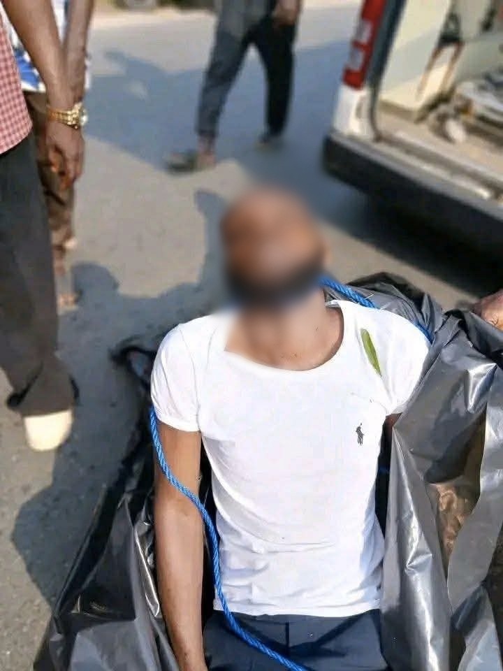 41a7dd28 6813 474c be9c 32b6f0498a75