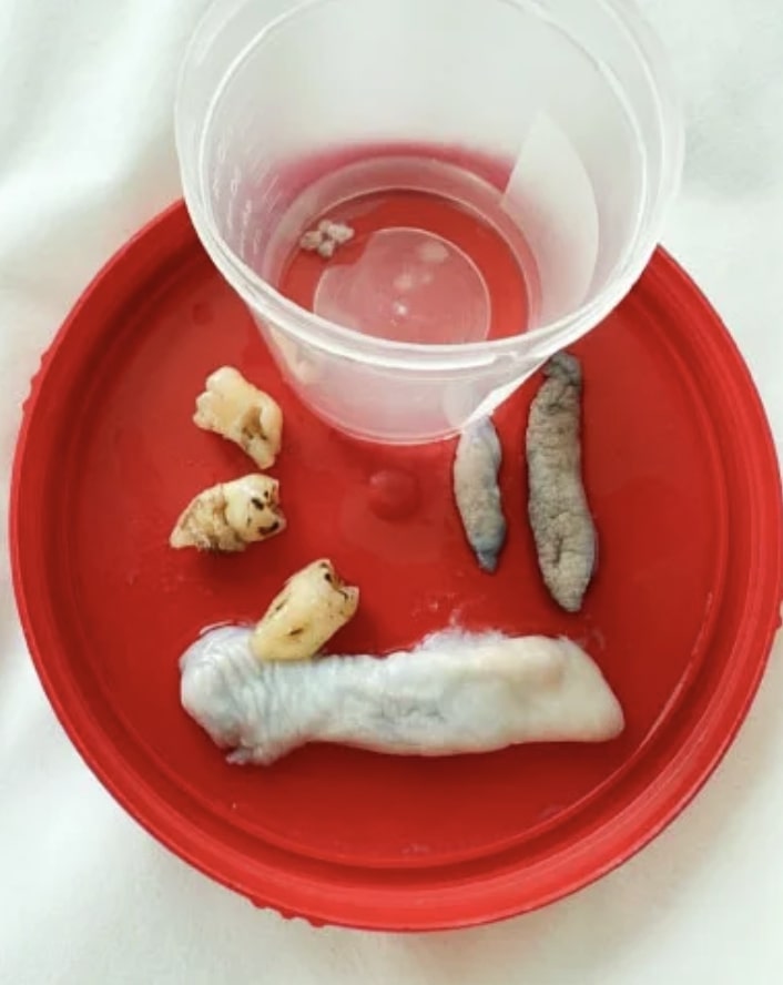 52f76022 2397 4815 9b3c 72570a20da42