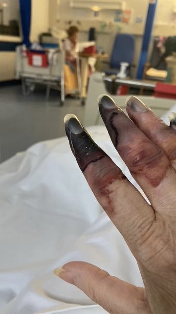 58a1ac69 7029 4c4a aeb9 d7c8030e4a04