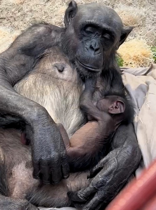 d1e3e70c 8e84 4967 b14c d5845836a4c6