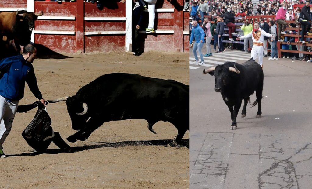 71-Year-Old Man D£es After Bull Att£ck at Spain Carnival of the Bull Festival