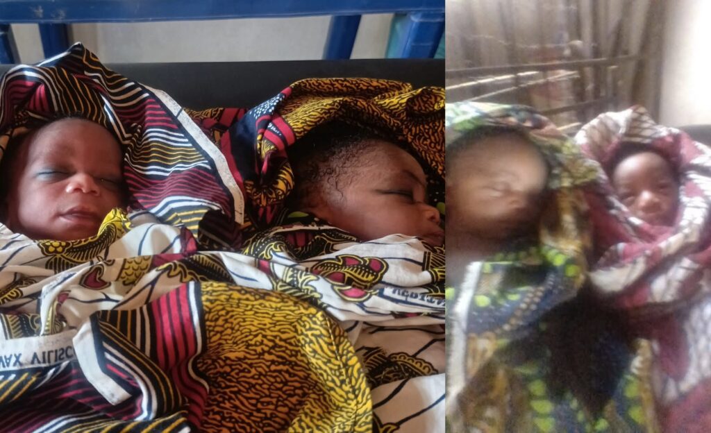 Newborn twins discovered alive after being abandoned in the bush by their mother