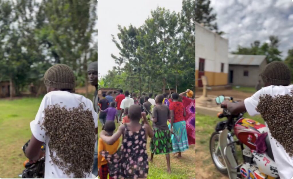 Man attacked by bees after stealing motorcycle in Uganda, returns it